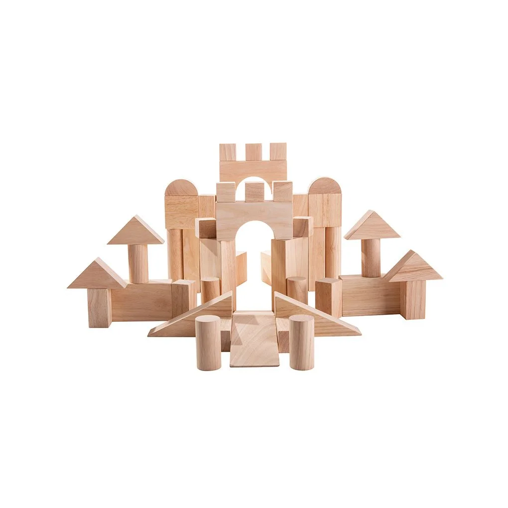 PlanToys 50 Unit Blocks — manufacturer product photo